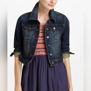 Anthropologie Inner Art Denim Jacket With Frightened Rabbit Art